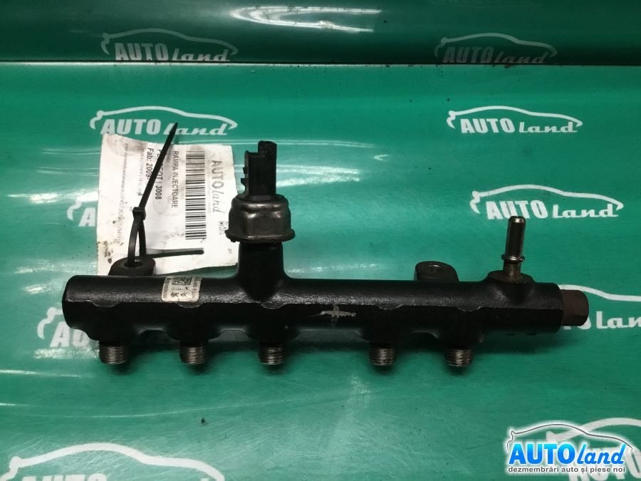 Rampa Injectoare 9674300080 2.0 HDI Peugeot 3008 2009