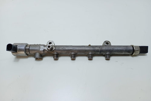 Rampa Injectoare A6510700495 Mercedes-Benz E-Class W212 [2009 - 2013]