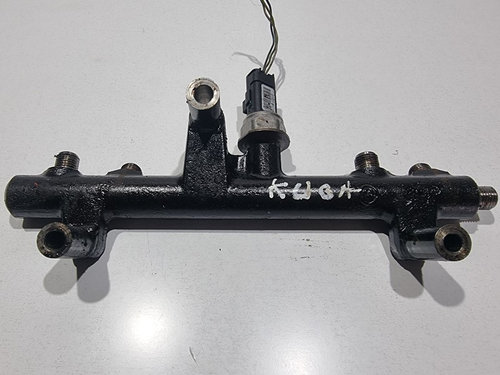 Rampa injectoare Citroen C4 Picasso (2006->) [UD_] 2.0 hdi RHH 163 cp 9681909680