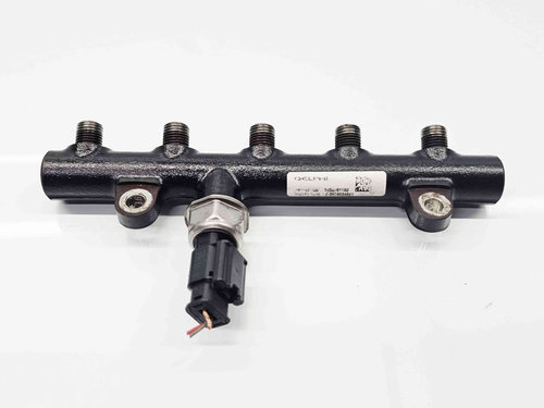 Rampa injectoare Citroen C5 (III) [Fabr 2008-2017] 9656391180 2.0 RH01 103KW / 140CP