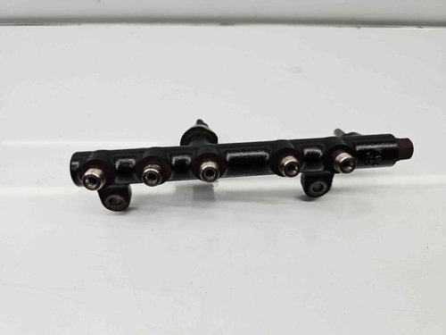 Rampa injectoare Citroen DS4 [Fabr 2011-2015] 9674300080 2.0 hdi 9H05 110KW / 150CP