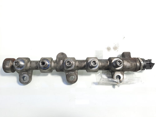 Rampa injectoare, cod 0445214196, Renault Trafic 2, 2.0 DCI, M9R786 (id:443059)