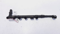 Rampa injectoare, cod 3219018301, Fiat Punto (188)...