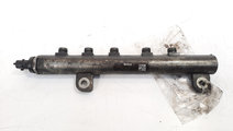 Rampa injectoare, cod 55197370, 0445214095, Opel A...