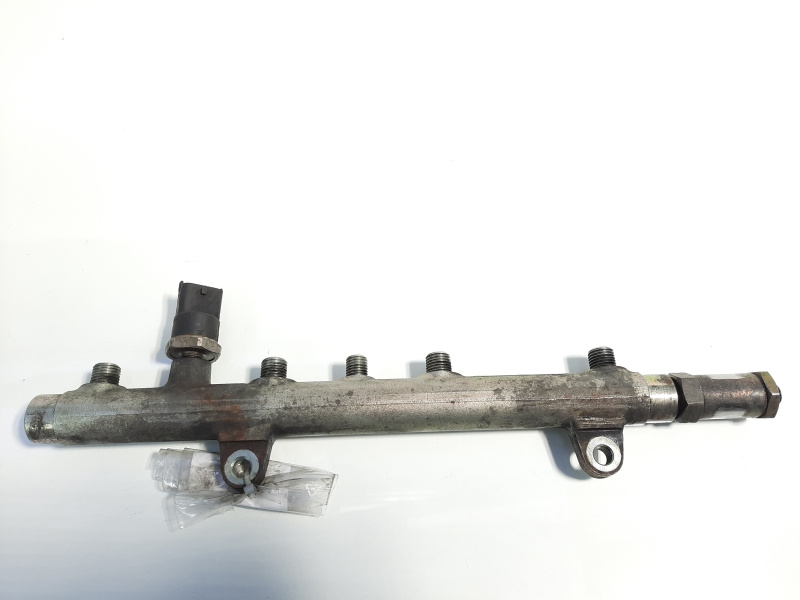 Rampa injectoare, cod 8200347176, 0445214024, Renault Megane 2, 1.9 DCI, F9Q804 (id:434057)