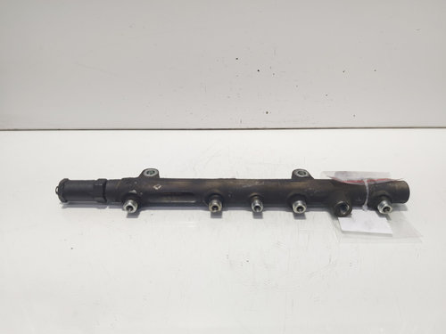 Rampa injectoare, cod 8200347176, 0445214024, Renault Megane 2, 1.9 DCI, F9Q804 (id:643248)