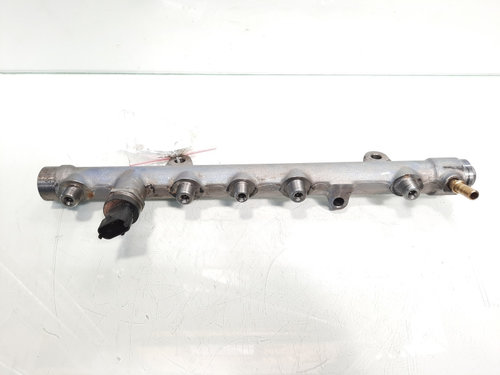 Rampa injectoare, cod 8200715519, 0445214116, Renault Megane 2 Coupe-Cabriolet, 1.9 DCI, F9Q804 (idi...