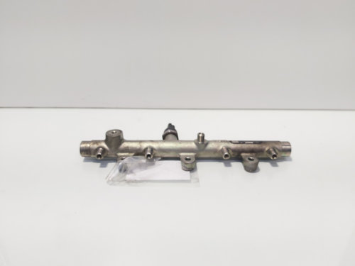 Rampa injectoare cu senzor, cod 0445214019, Peugeot 206, 2.0 HDI, RHY (id:693061)