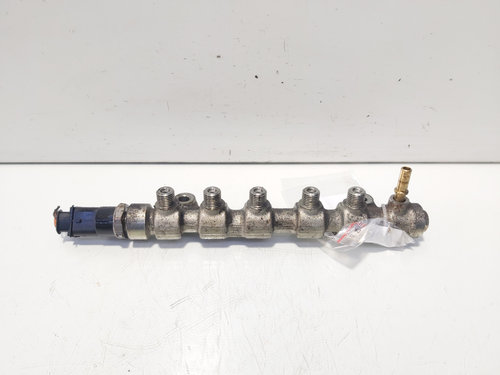 Rampa injectoare cu senzor, cod 0445214079, 8200378703, Renault Vel Satis, 2.2 DCI, G9T702 (id:64019...