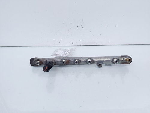 Rampa injectoare cu senzor, cod 8200330912, 0445214065, Renault Megane 2 1.9 DCI, F9Q812 (id:665381)