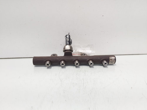 Rampa injectoare cu senzor, cod 8200669695, Renault Clio 3, 1.5 DCI, K9K770 (id:703188)