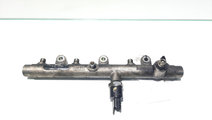 Rampa injectoare cu senzor, Peugeot 406 [Fabr 1995...