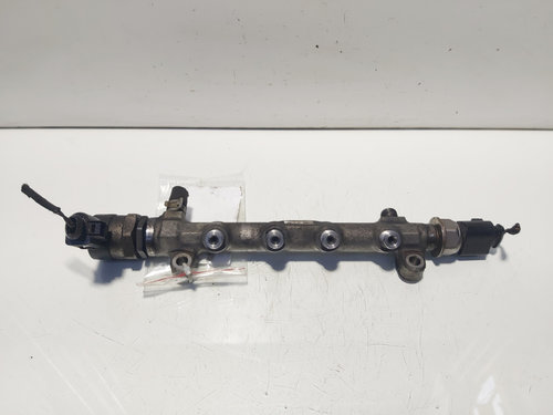 Rampa injectoare cu senzori, cod 04L089B, Skoda Octavia 2 Combi (1Z5), 2.0 TDI, CKF (id:636329)