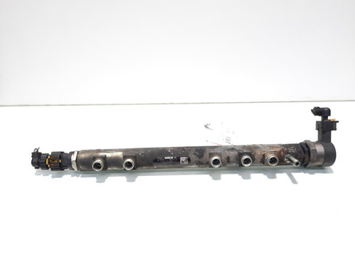 Rampa injectoare cu senzori, cod 55200517, 0445214086, Opel Corsa D, 1.3 CDTI, Z13DTJ (id:577536)