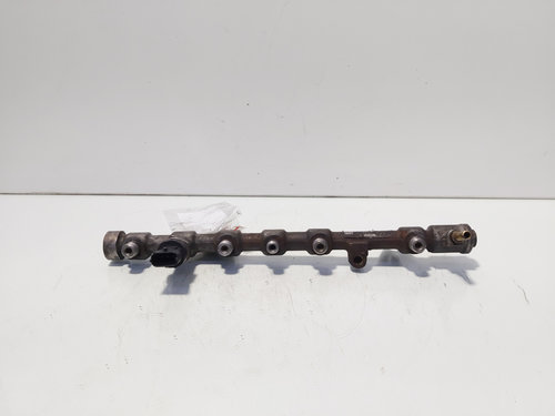 Rampa injectoare cu senzori, cod 8200620689, 0445214113, Renault Megane 3 CC, 1.9 DCI, F9Q754 (idi:6...