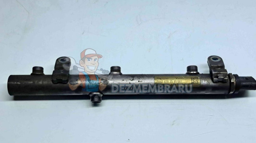Rampa injectoare Mercedes Clasa E (W211) [Fabr 2002-2009] A6420702595 001