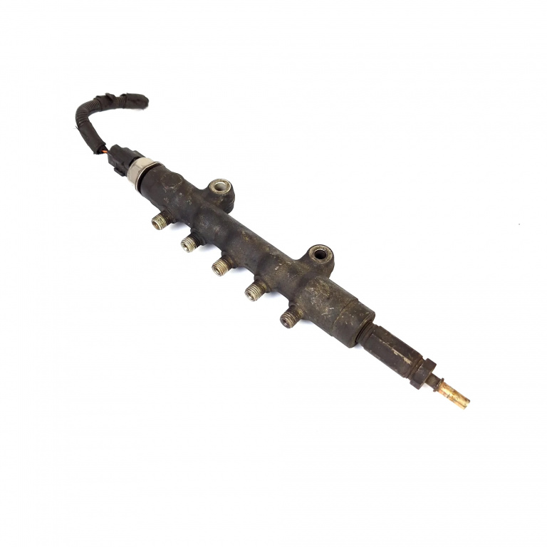 Rampa Injectoare Peugeot Boxer 2006 > 2.2 Hdi 100 4Hv (P22Dte) Motorina 55Pp0501, 06103978171