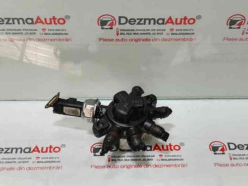 Rampa injectoare, Renault Clio 3, 1.5 dci (id:317016)