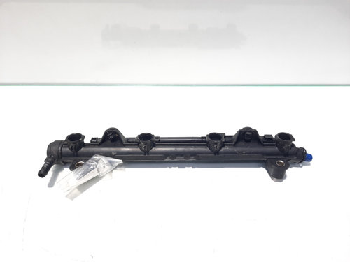 Rampa injectoare, Vw Polo (9N) [Fabr 2001-2008] 1.4 B, AUA, 036133320A (id:450049)