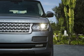 Ranger Rover in Maroc