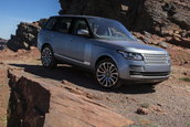 Ranger Rover in Maroc