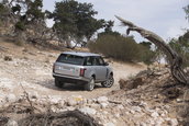Ranger Rover in Maroc