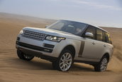 Ranger Rover in Maroc