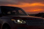 Ranger Rover in Maroc