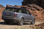 Ranger Rover in Maroc