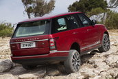 Ranger Rover in Maroc