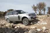 Ranger Rover in Maroc