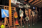 RAW - ROMANIAN AIRBRUSH WORKSHOP