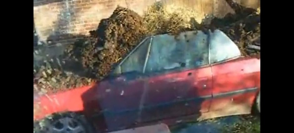 Razbunarea unui sot inselat: masina cabrio plina cu balega Razbunarea unui sot inselat: masina cabrio plina cu balega