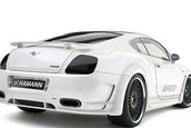 Re: Bentley Continental GT &amp; GT Speed by Hamann