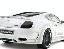 Re: Bentley Continental GT &amp; GT Speed by Hamann