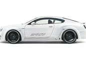 Re: Bentley Continental GT &amp; GT Speed by Hamann