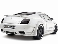 Re: Bentley Continental GT &amp; GT Speed by Hamann