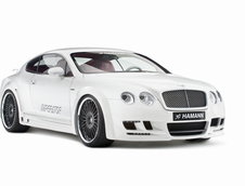 Re: Bentley Continental GT &amp; GT Speed by Hamann