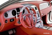 Re: Bentley Continental GT &amp; GT Speed by Hamann
