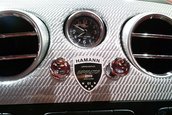 Re: Bentley Continental GT &amp; GT Speed by Hamann