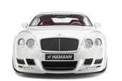 Re: Bentley Continental GT &amp; GT Speed by Hamann
