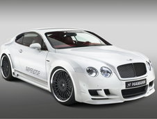Re: Bentley Continental GT &amp; GT Speed by Hamann
