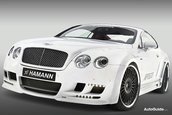 Re: Bentley Continental GT &amp; GT Speed by Hamann