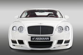 Re: Bentley Continental GT &amp; GT Speed by Hamann