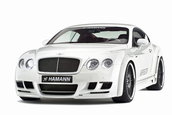 Re: Bentley Continental GT &amp; GT Speed by Hamann