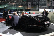 Re: Geneva: Wiesmann MF4 Roadster