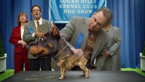 Reclama Super Bowl 2014: Doberhuahua, compromisul celor de la Audi