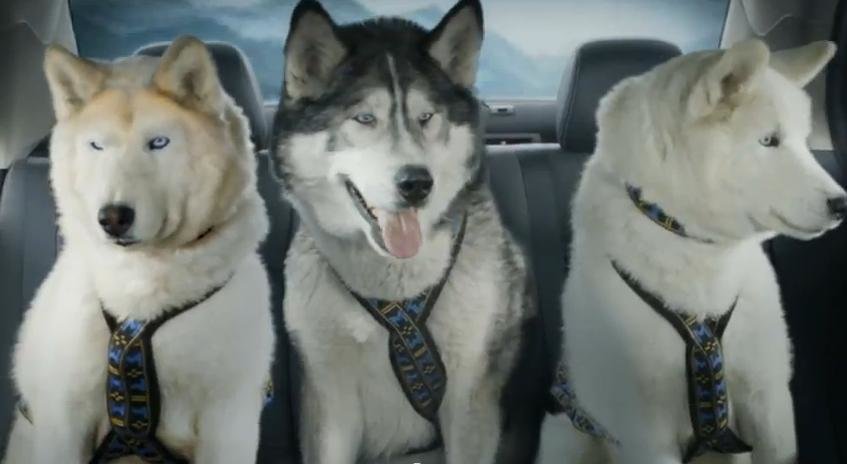 Reclama Suzuki Kizashi pentru Super Bowl Reclama Suzuki Kizashi pentru Super Bowl