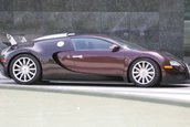 Record Bugatti Veyron