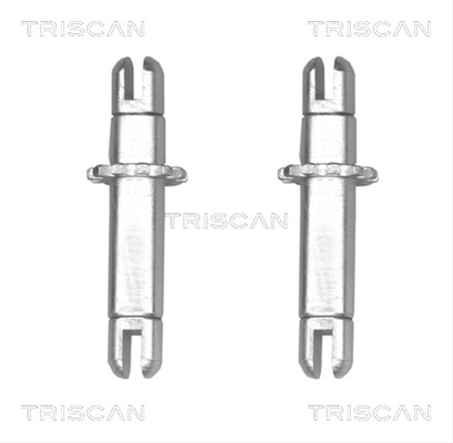 Reglaj Parghie Sistem Franare Triscan 8105 273001